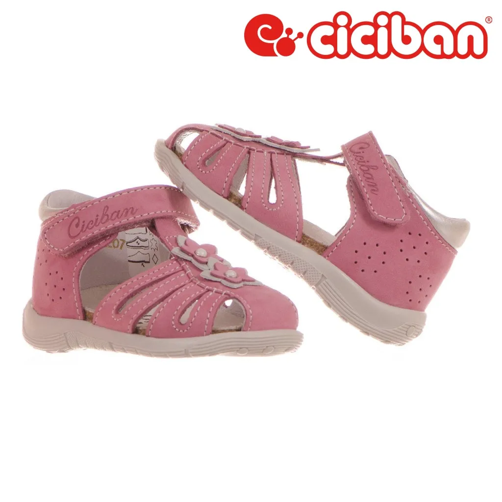 Bio Rosa 07